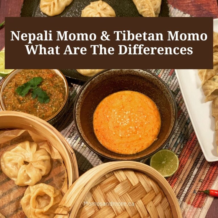 Nepali Momo and Tibetan Momo differences